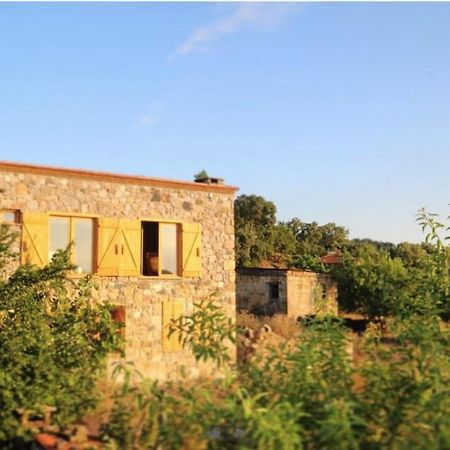 Unique Hotel Room Surrounded By Nature Close To Assos Ancient City In Ayvacik Canakkale Sazli Екстер'єр фото