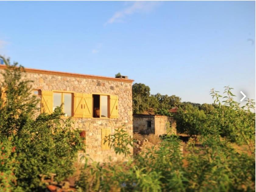 Unique Hotel Room Surrounded By Nature Close To Assos Ancient City In Ayvacik Canakkale Sazli Екстер'єр фото